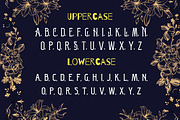 Victorian - Vintage Display Font, a Serif Font by PaperMoon (Thumbnail 3 of 4)