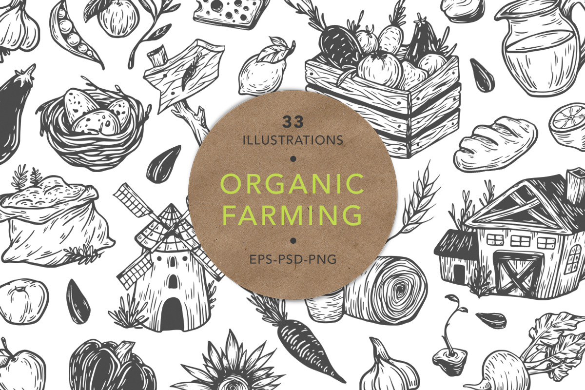 Organic Farming. Fresh market., an Illustration by Olga Olmix (Photo 1 of 7)