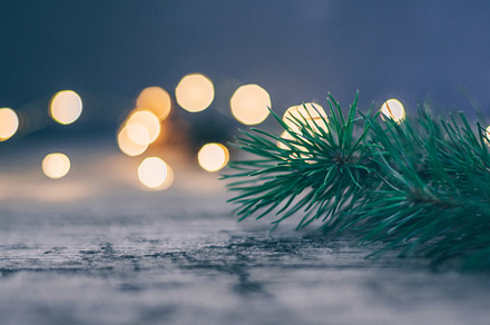 Christmas holiday background stock photo containing christmas and tree, a Holiday Photo by Anikona