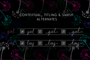 BLACK FRIDAY Delirio Font Family, a Script Font by graffistyling (Thumbnail 16 of 20)