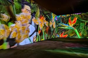 Immersive art installation with vibrant projections, an Arts & Entertainment Photo by DanFLCreativo