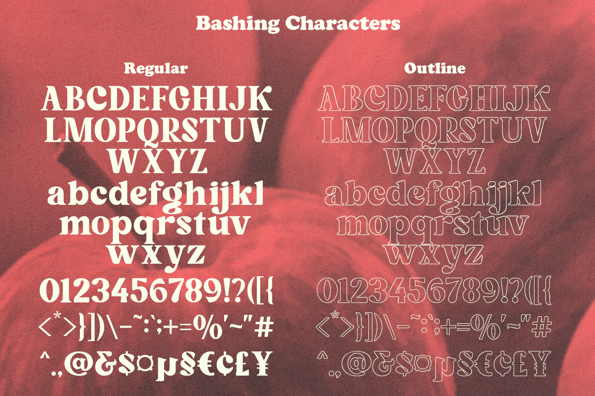 Bashing - Retro Swash Font, a Serif Font by Pandeka Studio (Photo 13 of 13)