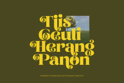 Broftin Resort Bold Serif Display, a Serif Font by timelesstype.co (Thumbnail 11 of 20)