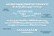 Paper snow. Cutout font & extras., a Script Font by Red Ink (Thumbnail 10 of 11)