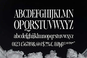 Novela Clasica - Modern Serif, a Serif Font by Novitype (Thumbnail 11 of 12)