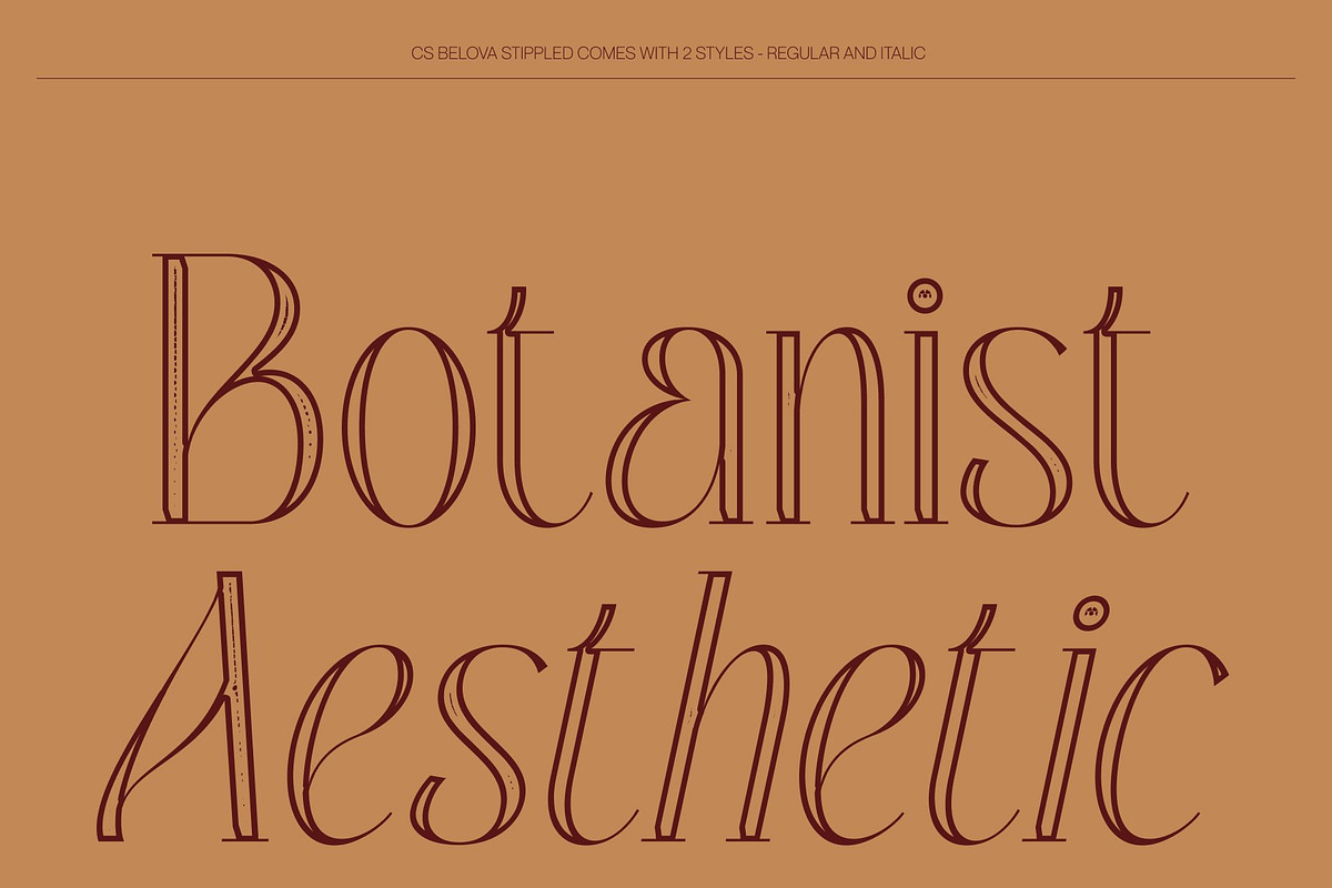 CS Belova Stippled, a Serif Font by Craft Supply Co. (Photo 3 of 8)
