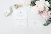DRIED BOTANICALS COLLECTION, a Decorative Illustration by Luna Dreams (Thumbnail 12 of 13)