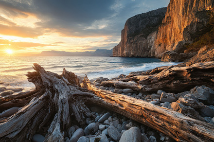 Driftwood on a rocky beach at sunset, a Photo by Iftikhar Alam