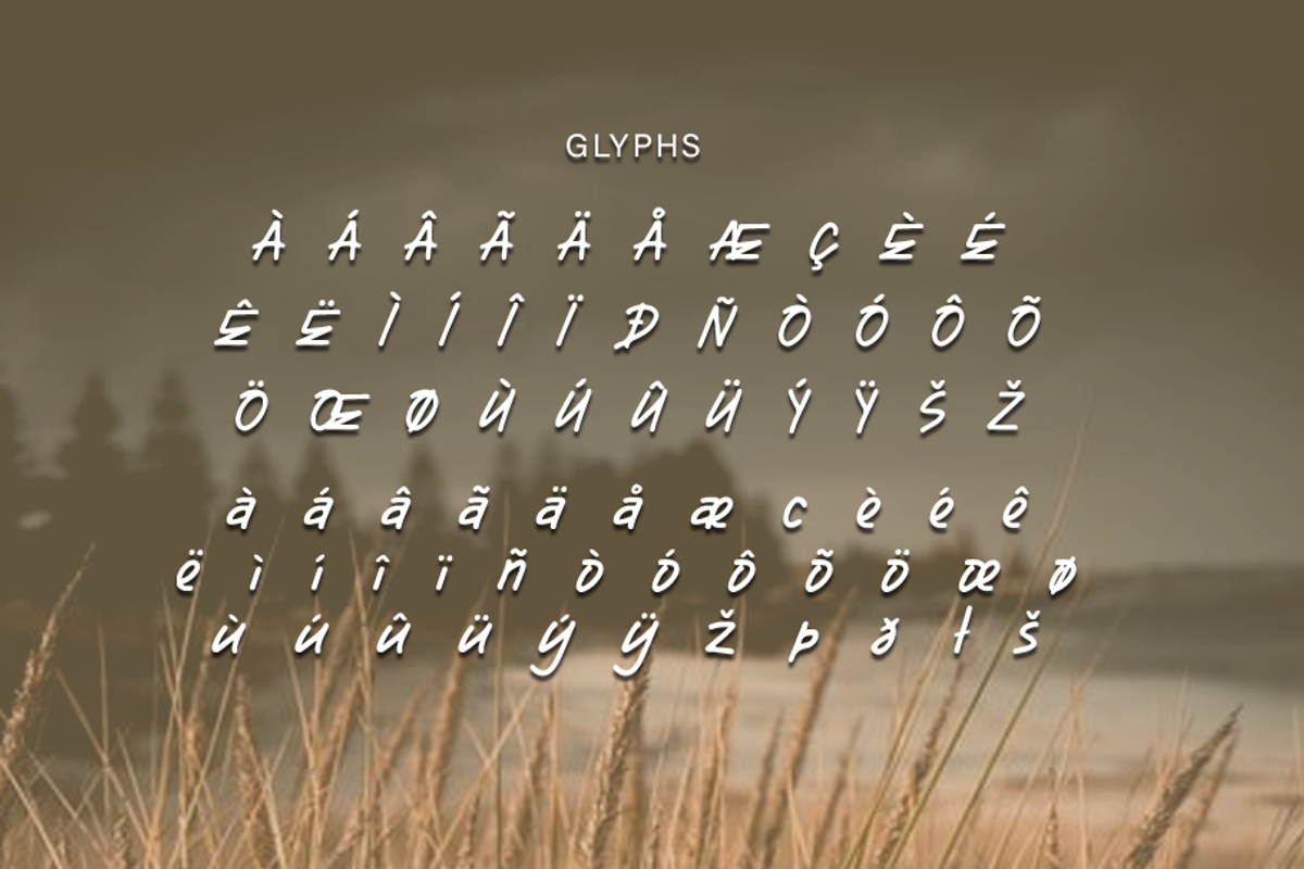 Avanguide, a Font by GlottaTypeface (Photo 7 of 8)