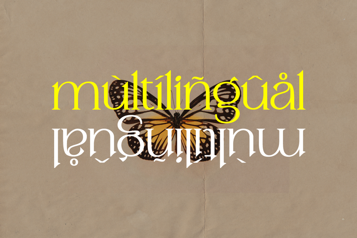 Mergian - Modern Serif, a Serif Font by tebaltipislab (Photo 12 of 21)