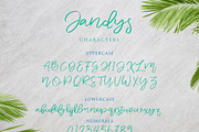 Jandys Typeface, a Script Font by alit design (Thumbnail 6 of 11)