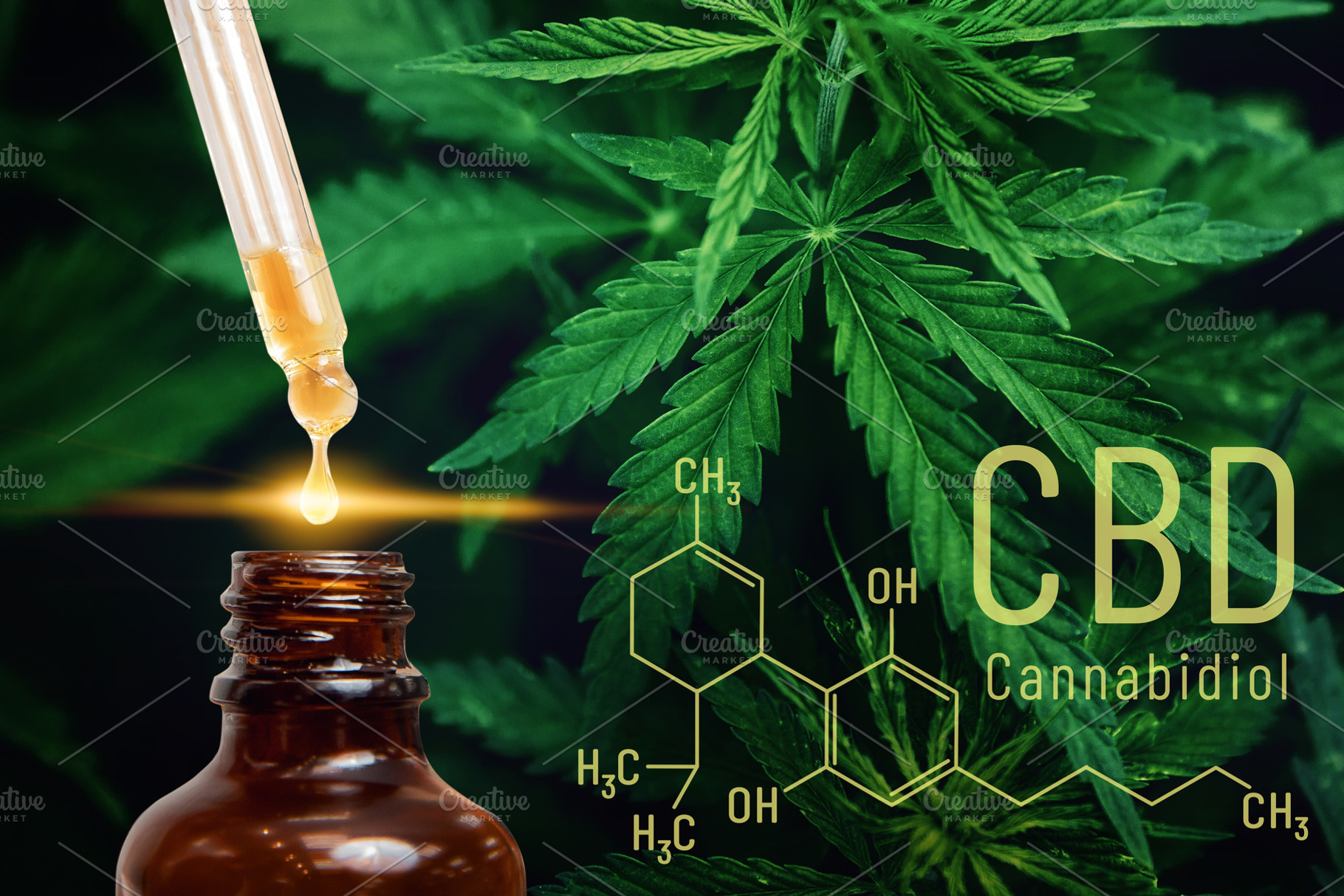 Cannabis cbd oil extracts in jars he containing cbd, oil, and cannabis, a Nature Photo by Parilov