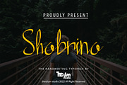 Shabrina - Brush Script Wedding Font, a Script Font by Inventype Studio (Thumbnail 1 of 9)