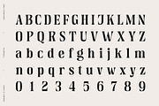 Venturico - Variable Font, a Serif Font by Typeskets (Thumbnail 7 of 11)