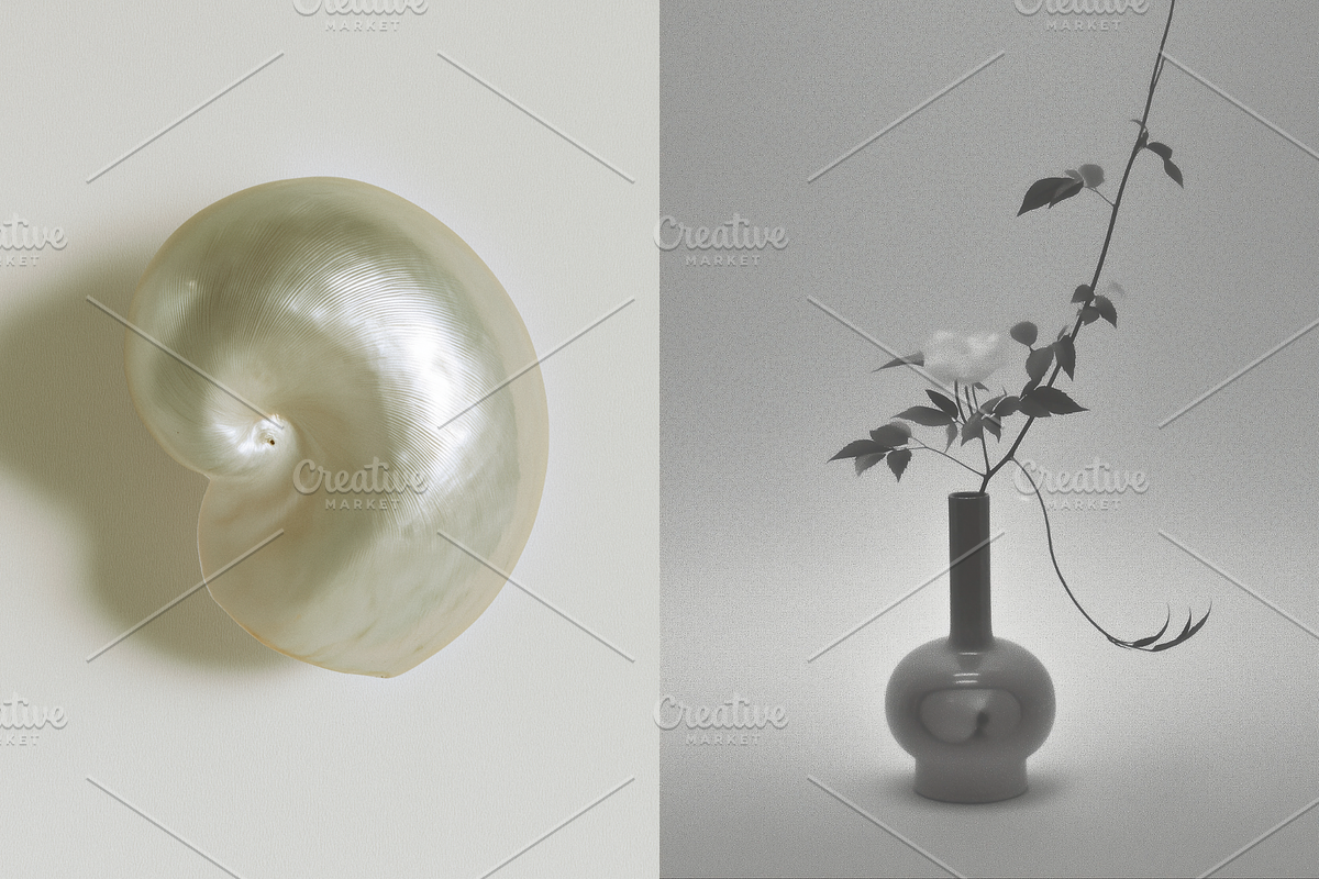Modern Muse Aesthetic Stock Photos, an Abstract Photo by Digital Asset Co (Photo 5 of 9)