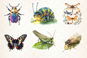 Vintage Spring Insect Clipart, an Illustration by Dream Creation (Thumbnail 2 of 6)