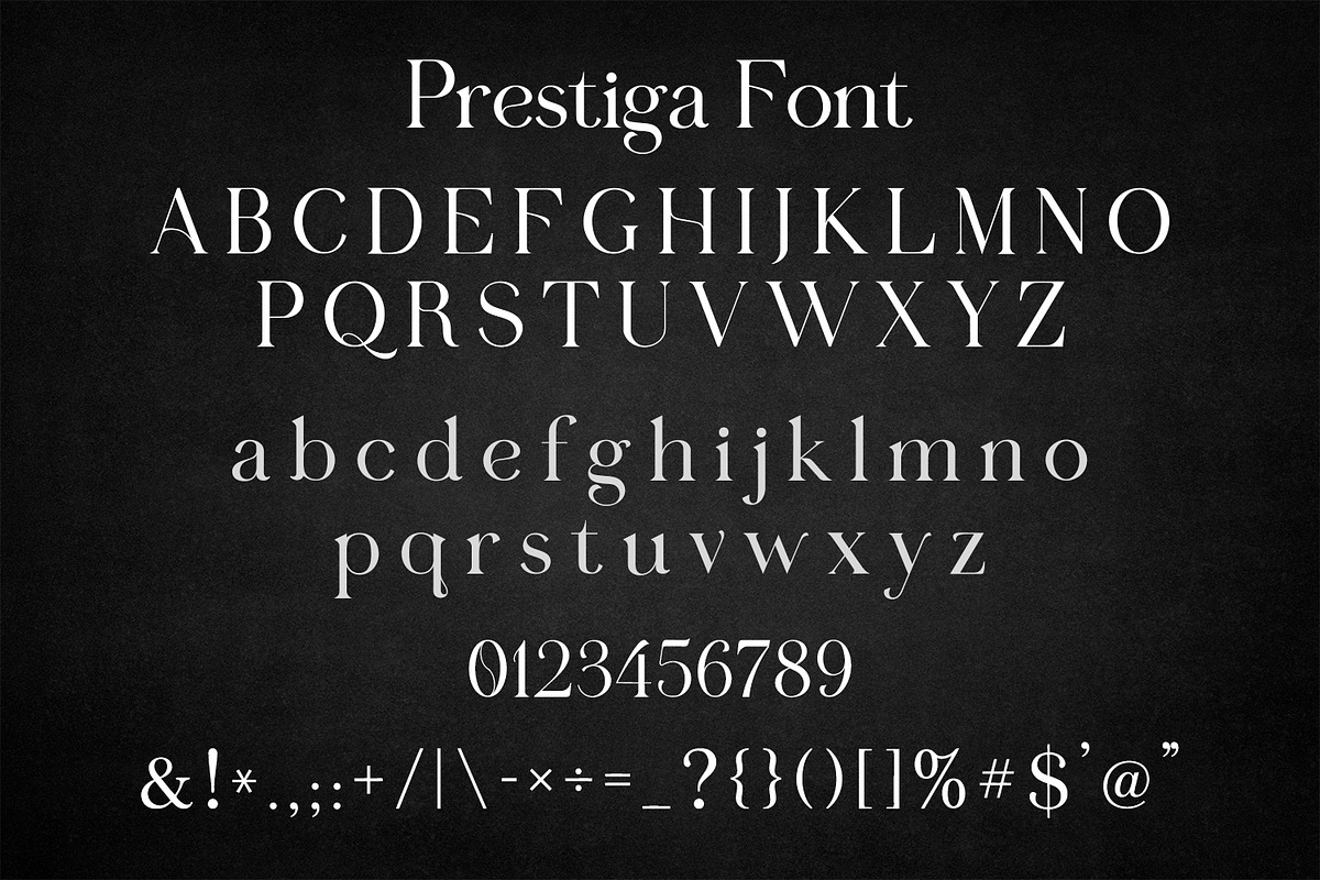Prestiga | Elegant & Modern Display, a Serif Font by OWPictures (Photo 8 of 8)