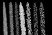 over 60 stipple brushes procreate, a Brush Add-On by Endete & Mazak brushes (Thumbnail 3 of 8)