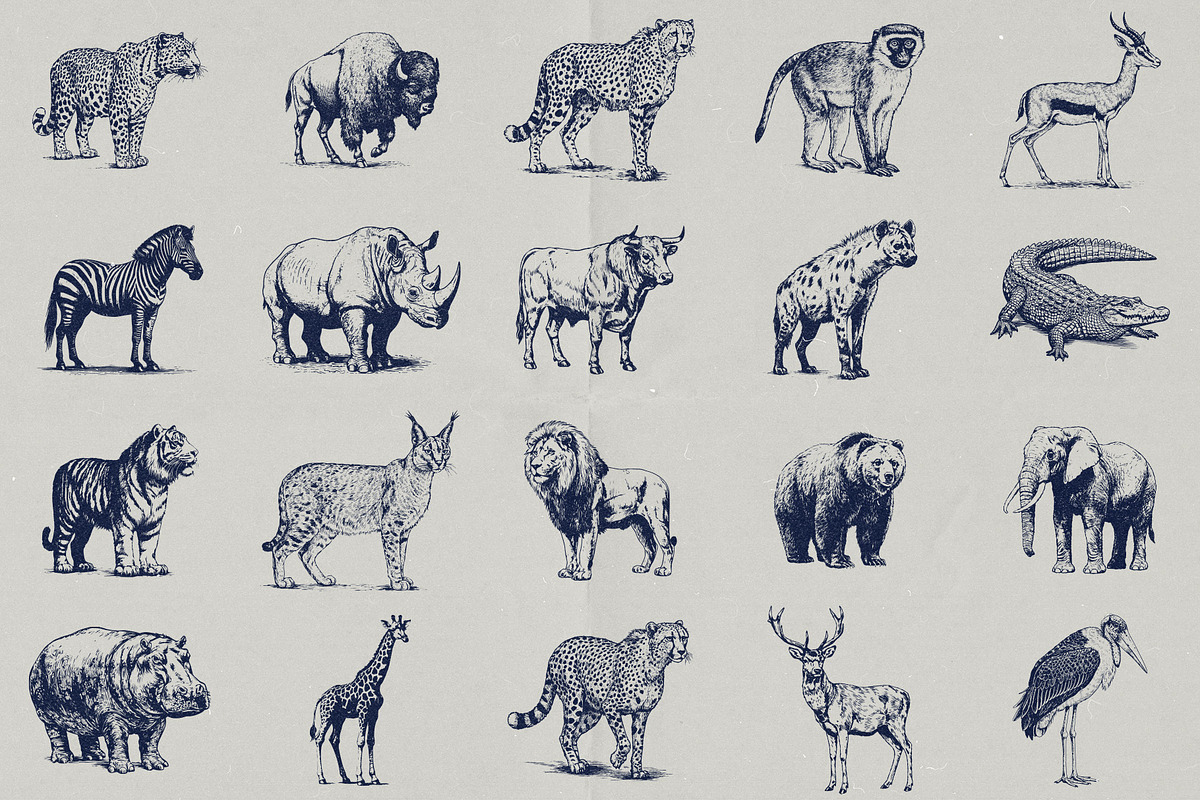 Wild Wonders: Safari Illustrations, an Animal Illustration by elliazidi.designs (Photo 2 of 9)