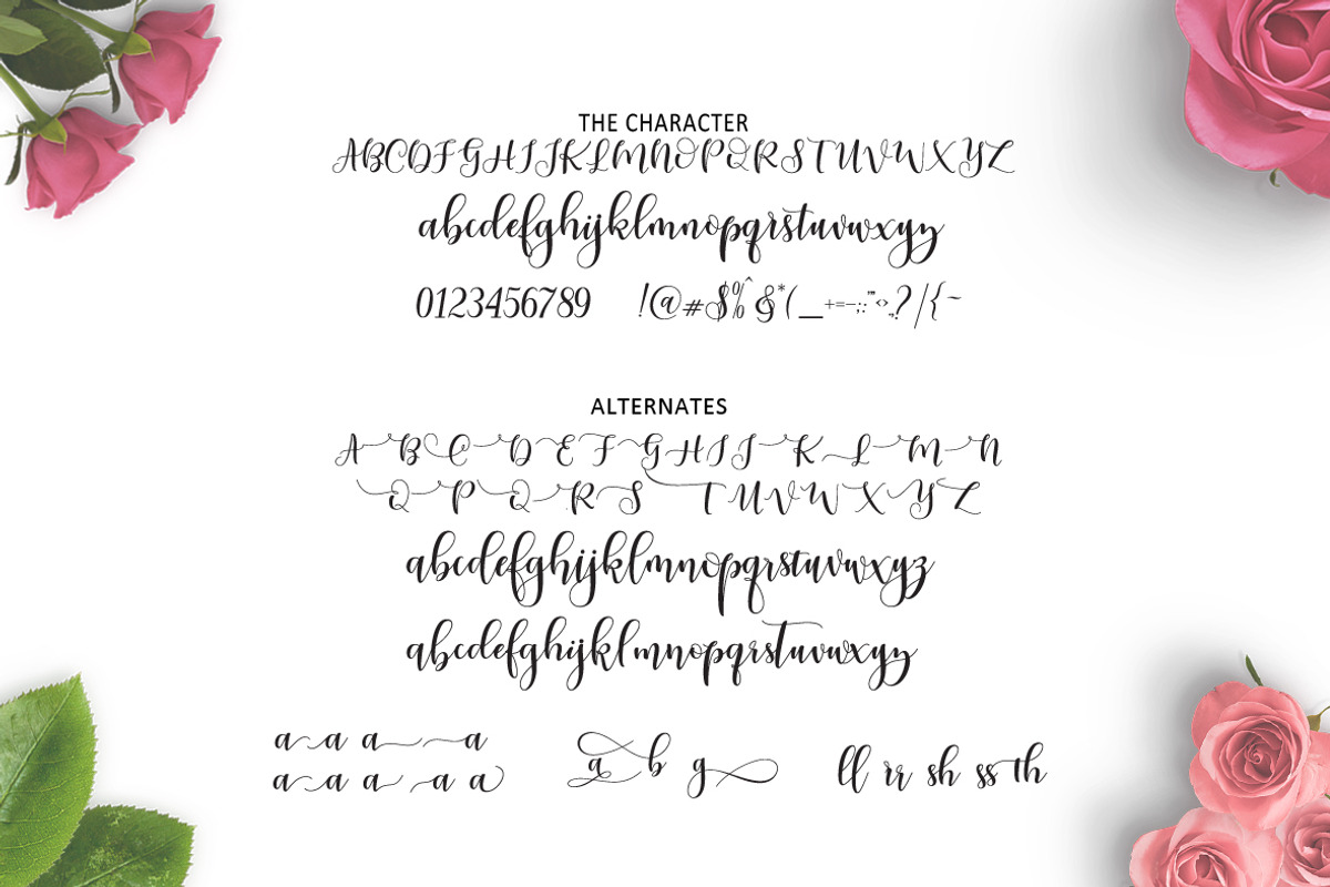 Ladies Script preview 7