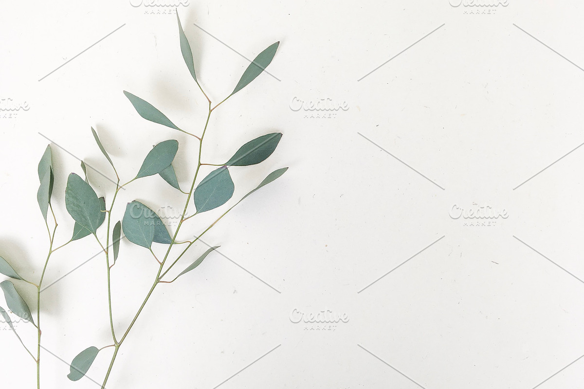 Farmhouse Floral Photo Bundle, a Photo by Hudson Lark Studio (Photo 7 of 9)