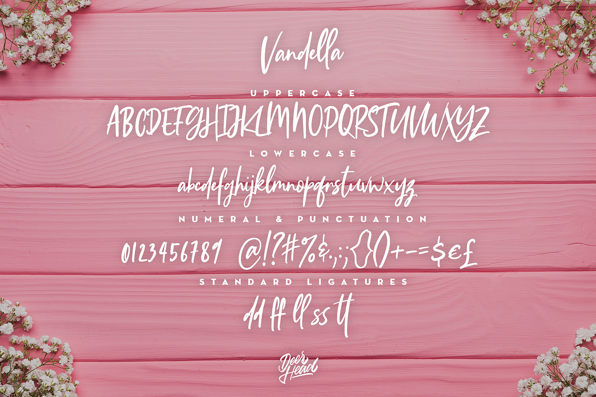 Vandella Handstylish Font, a Script Font by Alif Devan R. (Photo 7 of 7)