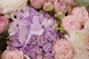 Floral background bloom petals botanical flower leaves, a Background Photo by Photo Drive Studio