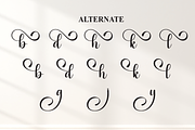 Babylone | Script Font, a Handwritten Font by Scratchones (Thumbnail 8 of 9)