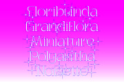Iconique Serif Regular, a Serif Font by Nguyen Type (Thumbnail 6 of 9)