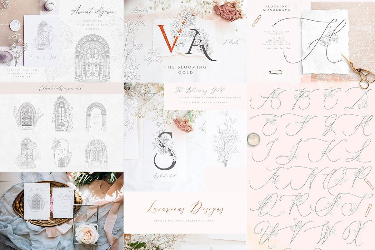 Whole Shop Bundle ~ 2025 UPDATED, a Graphic by Olya Creative (Photo 13 of 22)