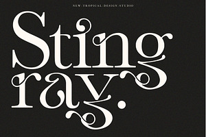 Vineyard - Serif Typeface