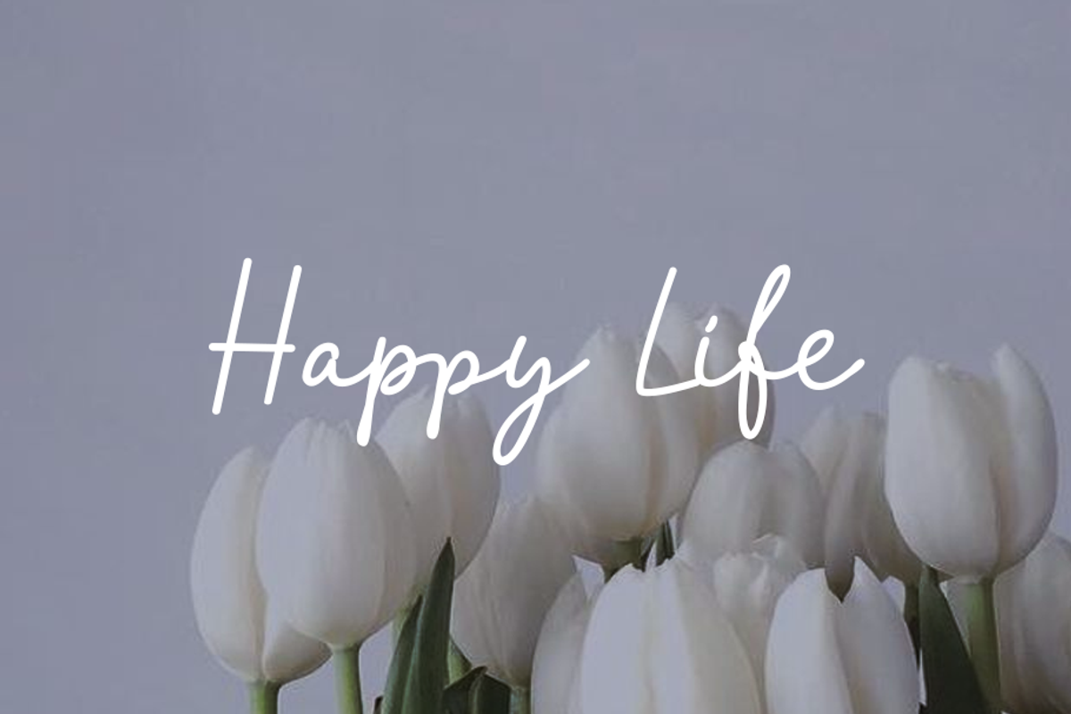 Lamelan, a Script Font by GlottaTypeface (Photo 7 of 8)