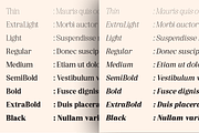 Pujarelah - Serif Family Font, a Serif Font by Differentialtype (Thumbnail 4 of 13)