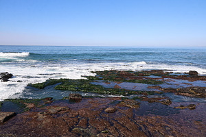 La Jolla, California, USA, a Nature Photo by uncreative