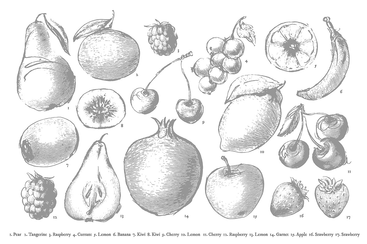 Fruits collection, an Object Graphic by Siosay (Photo 3 of 8)