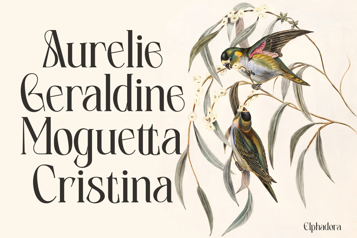 Elphadora Display Family, a Serif Font by Skypia (Photo 4 of 15)