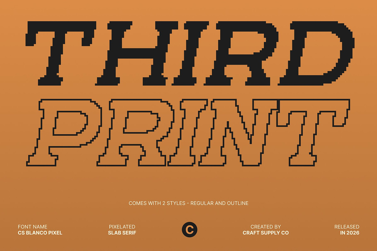 CS Blanco Pixel, a Slab Serif Font by Craft Supply Co. (Photo 2 of 8)