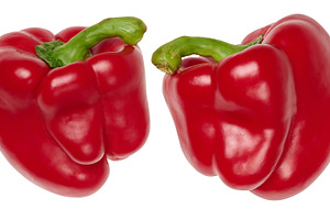 Two ripe red bell peppers with green stems, isolated background, a Food & Drink Photo by ndanko