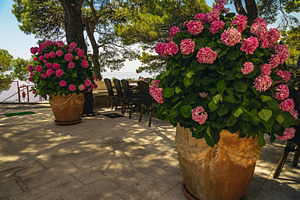 Cozy outdoor beach bar, a Nature Photo by Alpine Dreams