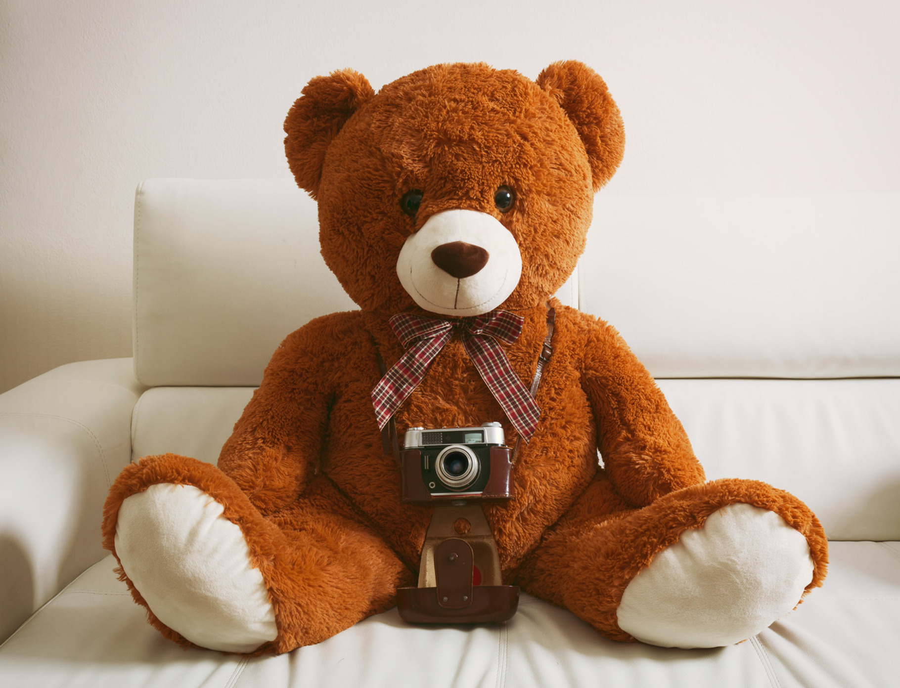 Big teddy bear with vintage 35mm cam, a Photo by Antonio Gravante Market