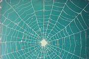 Spiderweb Effect, a Background Graphic by Printable Treasure (Thumbnail 2 of 3)