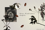 Moody Autumn Ephemera Collage Kit, an Object Graphic by Anzhelika (Thumbnail 3 of 10)