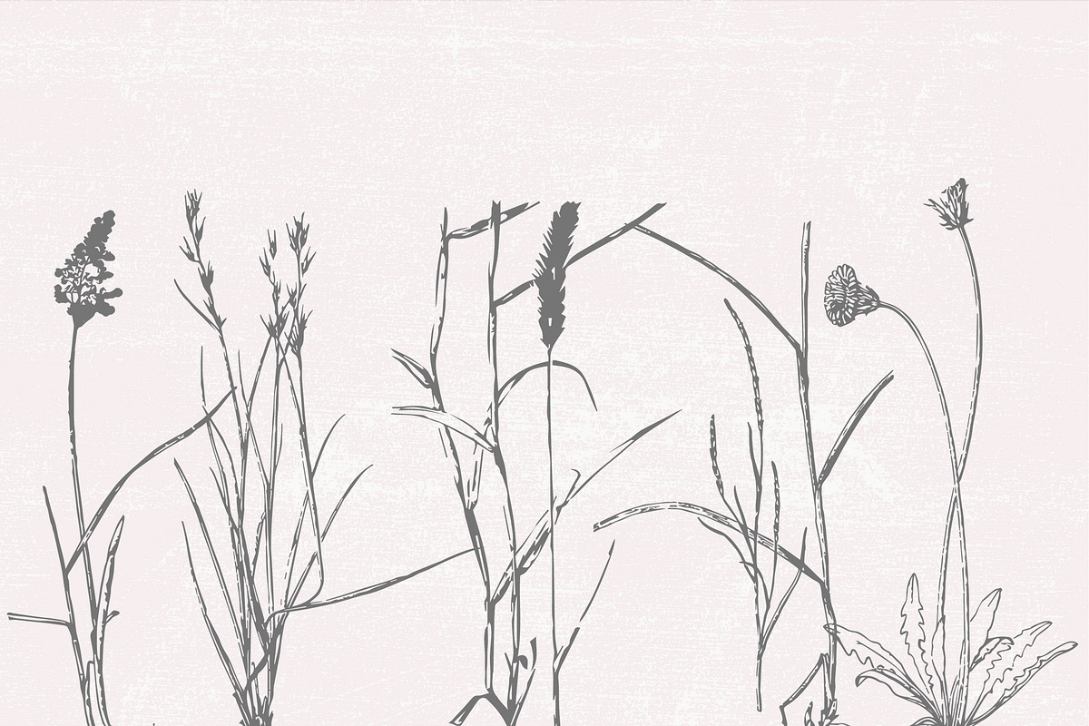 Dried Flowers, Petals, Shoots, an Illustration by TheBlackPixelCo (Photo 2 of 8)