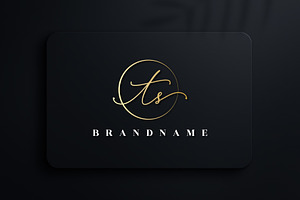 Letter TS Handwritten Signature Logo