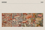 Fungi - botanical illustrations, an Object Graphic by AI Crafted Magnolia (Thumbnail 6 of 13)