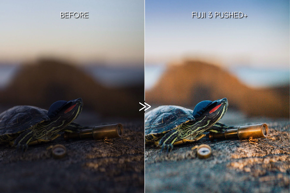 Bright Vibrant FUJIFILM LR Presets, an Action Add-On by CityTurtles (Photo 7 of 10)