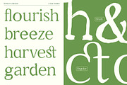 Konfus – Organic Modern Serif Duo, a Serif Font by Invasi Studio (Thumbnail 3 of 15)