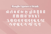 Rangile, a Serif Font by studiobasic (Thumbnail 9 of 10)