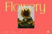 CS Brela Drawn, a Serif Font by Craft Supply Co. (Thumbnail 7 of 8)