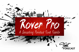 50% off Rover Pro